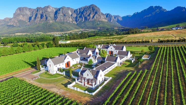 A preview image of the Stellenbosch Winelands tour.