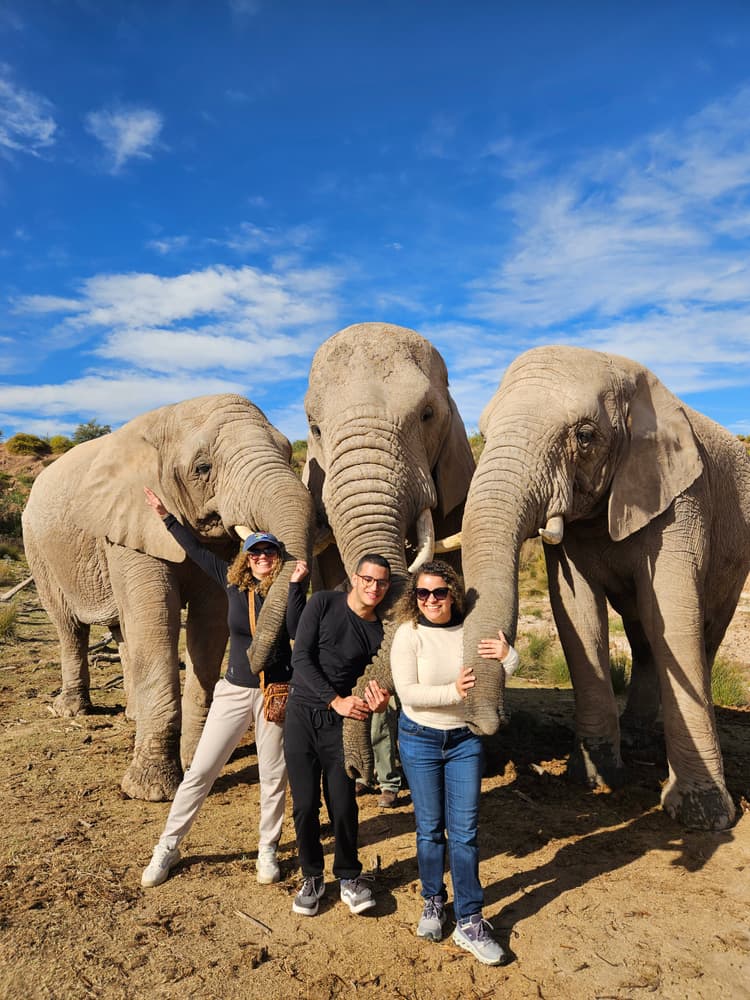 A preview image of the 1-Day Garden Route Adventure tour.