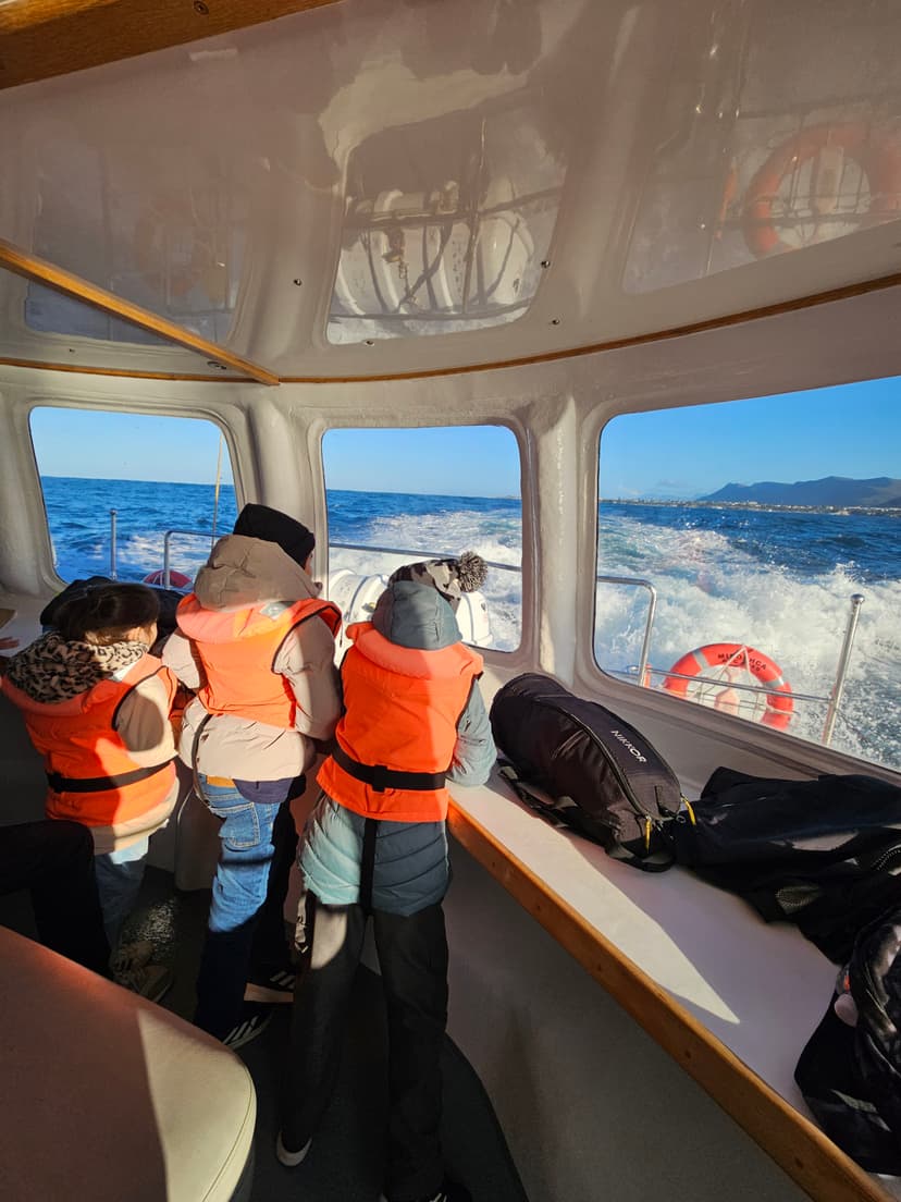 A beautiful view of the coastal town of Hermanus, known for whale watching.