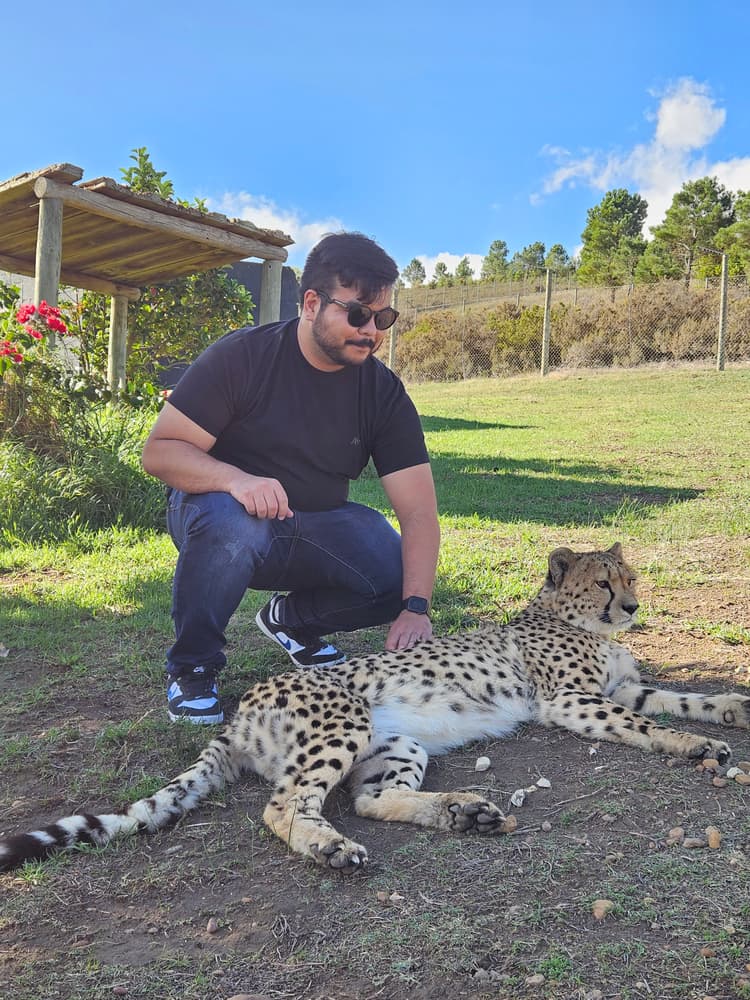 A preview image of the Interactive Safari tour.