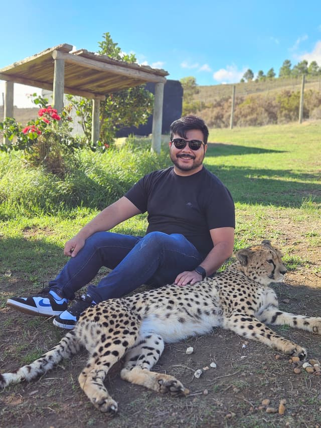 A giraffe standing in the African savanna.